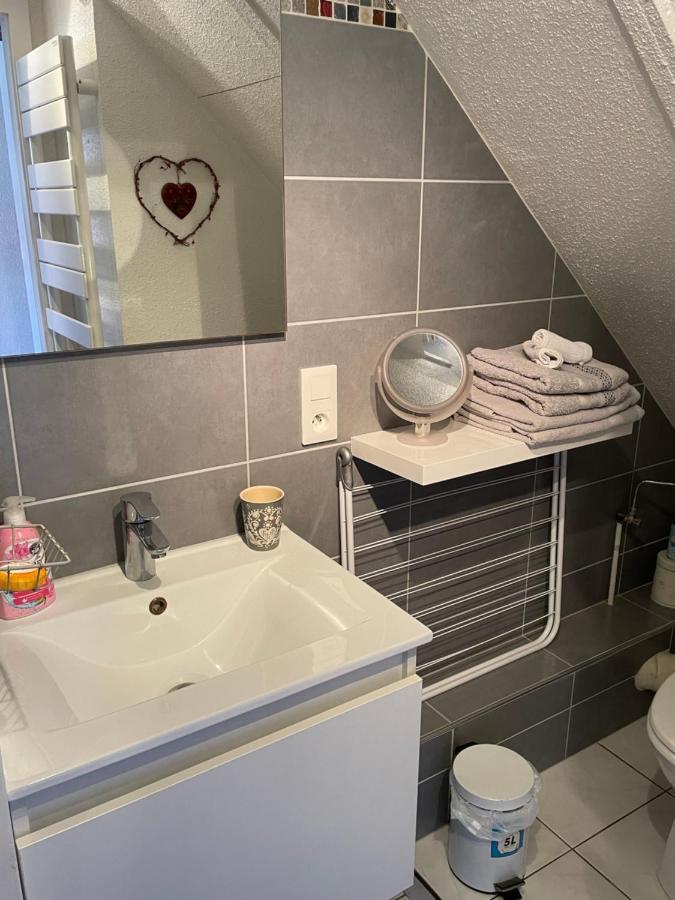 Aux Petits Coeurs De Colmar Centre Wifi Apartment